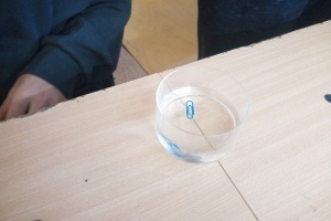 IMG_20251119_111604_0