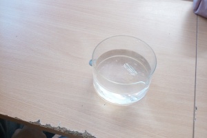 IMG_20251119_111625_2