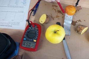 IMG_20251119_140959_4