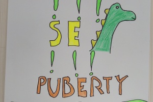 IMG_20251119_152805_7