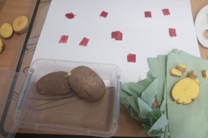 IMG_20251209_124723_2