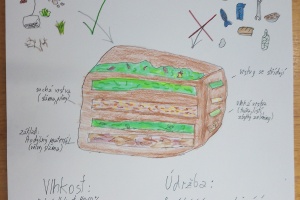 IMG_20251210_125930_1