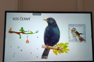 Ptačí hodinka na naší škole