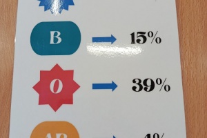 IMG_20260116_120139_1