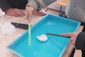 IMG_20260120_100831_6