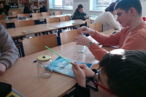 IMG_20260127_100836_6