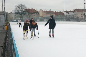 IMG_20260209_093727_6