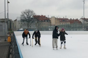 IMG_20260209_100058_6