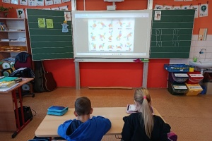 Zvířecí tangramy s písničkou – 1. třída