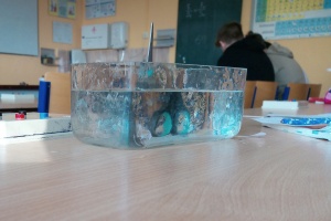 IMG_20260311_080524_5