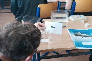 IMG_20260311_081922_7