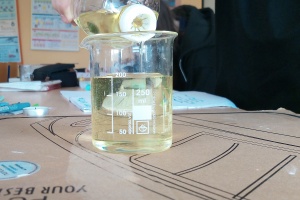 IMG_20260311_082905_3