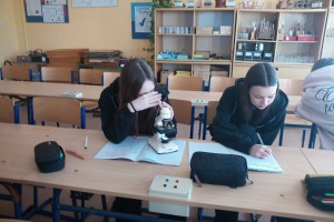 IMG_20260401_081100_2