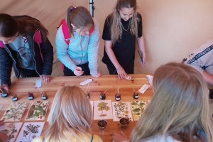 IMG_20260422_112334_9