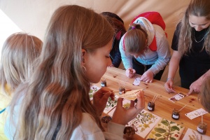 IMG_20260422_112358_9