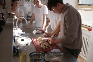 IMG_20260423_093518_5