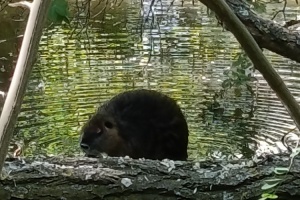 IMG_20260528_111721
