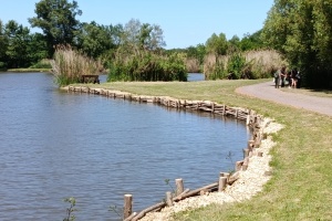 IMG_20260528_120127