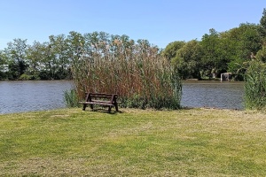 IMG_20260528_120258