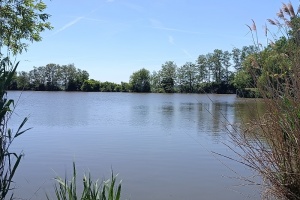 IMG_20260528_120748