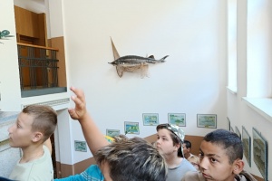 IMG_20260602_102509