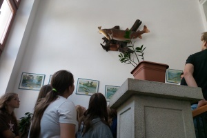 IMG_20260602_115308_9
