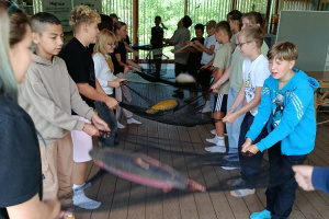 IMG_20260602_122851