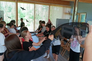 IMG_20260602_122912