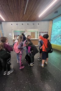 IMG_2576