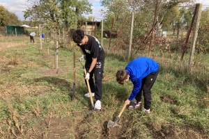 Výsadba stromků - 9. třída