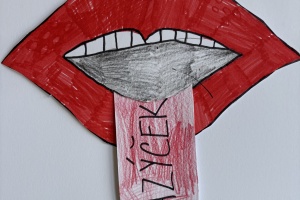 Vyjmenovaná slova po Z - 3. třída