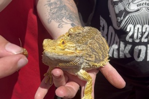 Návštěva ZOO u spolužáků - 9. třída