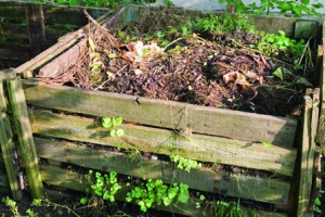 IMG-f5be1e95077393fe87601eda68573bcf-V