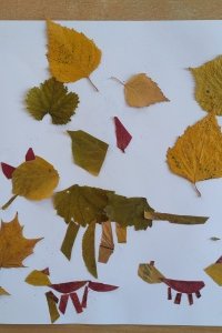 IMG20241107122911