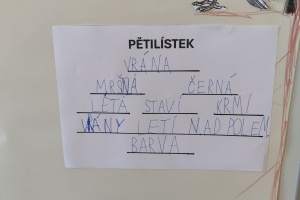 IMG20250320120258