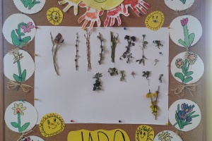 IMG20250321131815