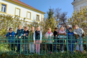 IMG20250403102815