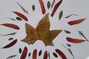 Listové mandaly - 2. třída