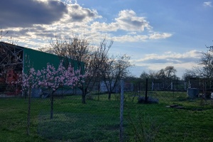 Marešová 1