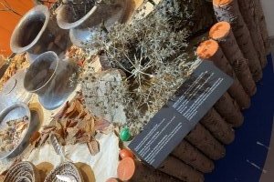 Messenger_creation_5C87B965-7E48-4128-8E2E-237EB476A903