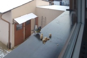 Screenshot_20260111_103052_Video Player