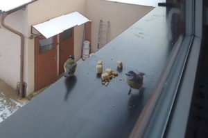 Screenshot_20260111_103145_Video Player