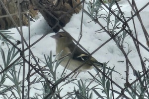 Screenshot_20260111_111013_Gallery