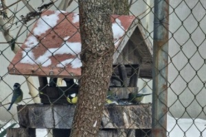 Screenshot_20260111_120244_Gallery