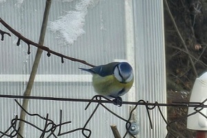 Screenshot_20260111_120319_Gallery